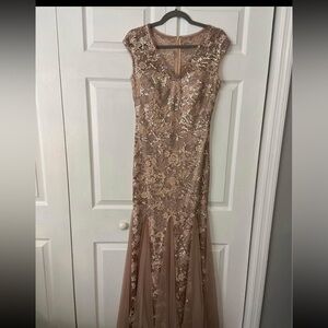 Elegant Lace Evenings Gown